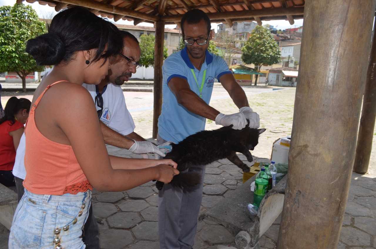 Vacinação